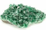 Fluorescent Green Fluorite Cluster - Diana Maria Mine, England #208847-1